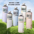 金星啤酒 信陽毛尖/龍井綠茶中式精釀啤酒 1L*6瓶
