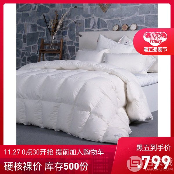 <span>白菜！</span>27日0點(diǎn)30分開始：Paradies 芭蕾麗絲 90%白鵝絨厚被 ANNIKA新低799元包郵包稅（限500件）