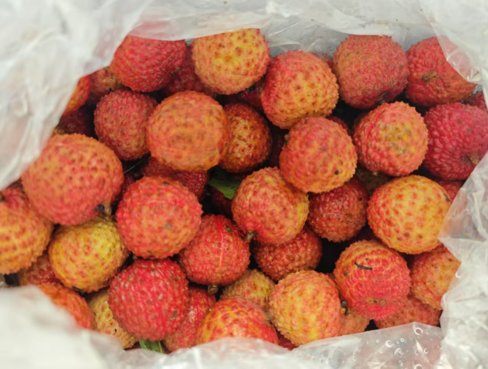 <span>白菜！有曬單！</span>淘寶買菜 廣東高州老樹(shù)桂味荔枝 4.5斤禮盒裝 單果16g+新低28.74元包郵（6.38元/斤）