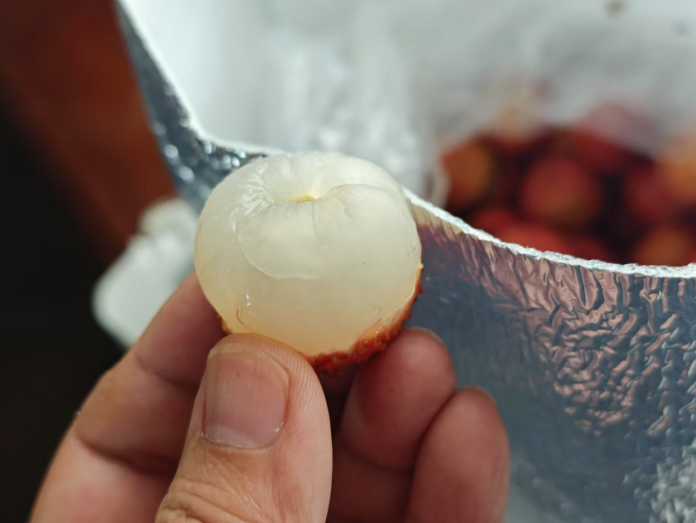 <span>白菜！有曬單！</span>淘寶買菜 廣東高州老樹(shù)桂味荔枝 4.5斤禮盒裝 單果16g+新低28.74元包郵（6.38元/斤）