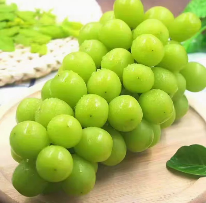 <span>白菜！</span>淘宝买菜 阳光玫瑰葡萄 香印青提 带箱5斤 大果 单果10-12g新低24.61元包邮（4.9元/斤）