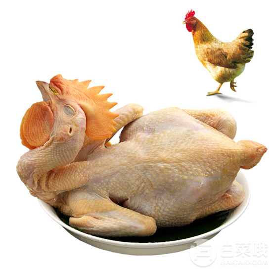 限地区，温氏 供港农养鸡 公鸡 800克低至16.45元（需领券）