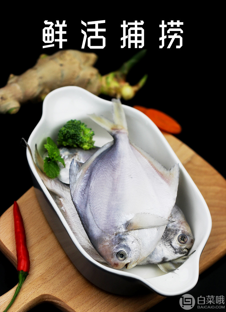 金益康 鲜活冷冻银鲳鱼3斤48元包邮（双重优惠）