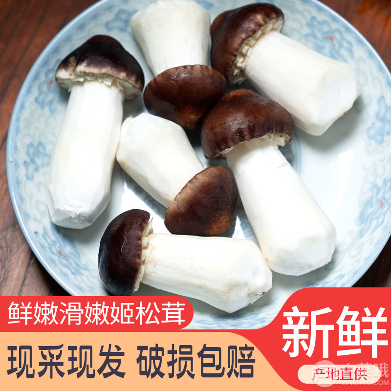 富润世 新鲜姬松茸野生食用菌菇500g19元包邮（需领券）