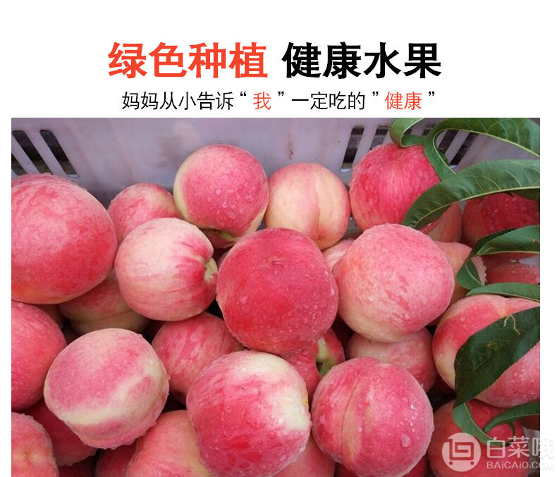 芊果粒 砀山新鲜水蜜桃5斤预售19.8元包邮（需领券）