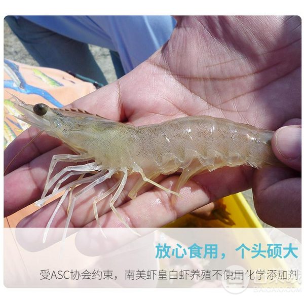 海买  原装进口厄瓜多尔超大白虾1kg/盒（约50-60只）48元包邮（需领券）