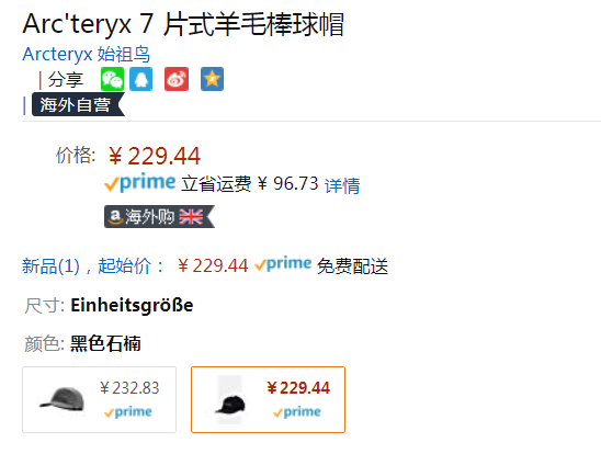 Arc'teryx 始祖鳥 7 Panel 羊毛棒球帽 兩色229.44元（天貓450元）