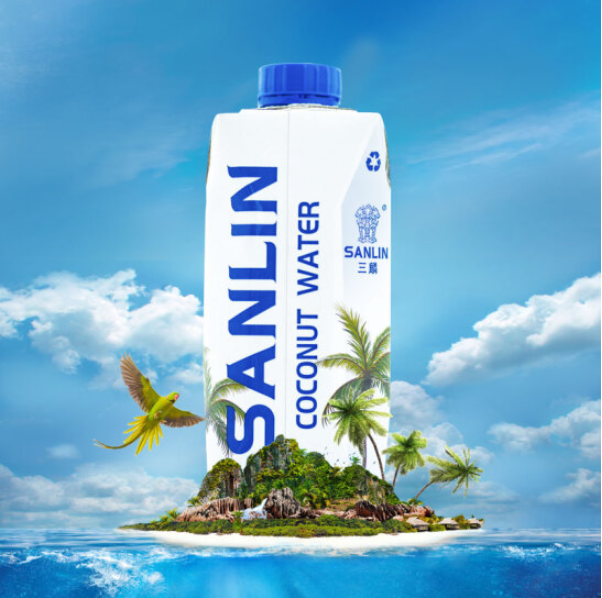 三麟 NFC果汁泰国制造 天然椰子水330ml*12瓶*2件80元（折合40元/件）