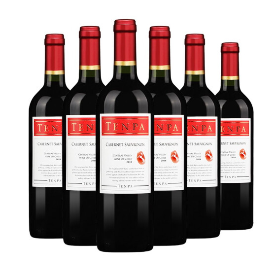 智利原瓶进口，Tenpa 天帕 卡本妮苏维翁干红葡萄酒750ml*6瓶298元包邮（需领券）