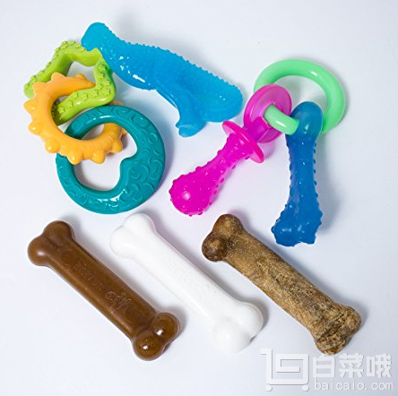 金盒特价，Nylabone 宠物狗狗咬胶套装 Prime会员凑单免费直邮到手￥90