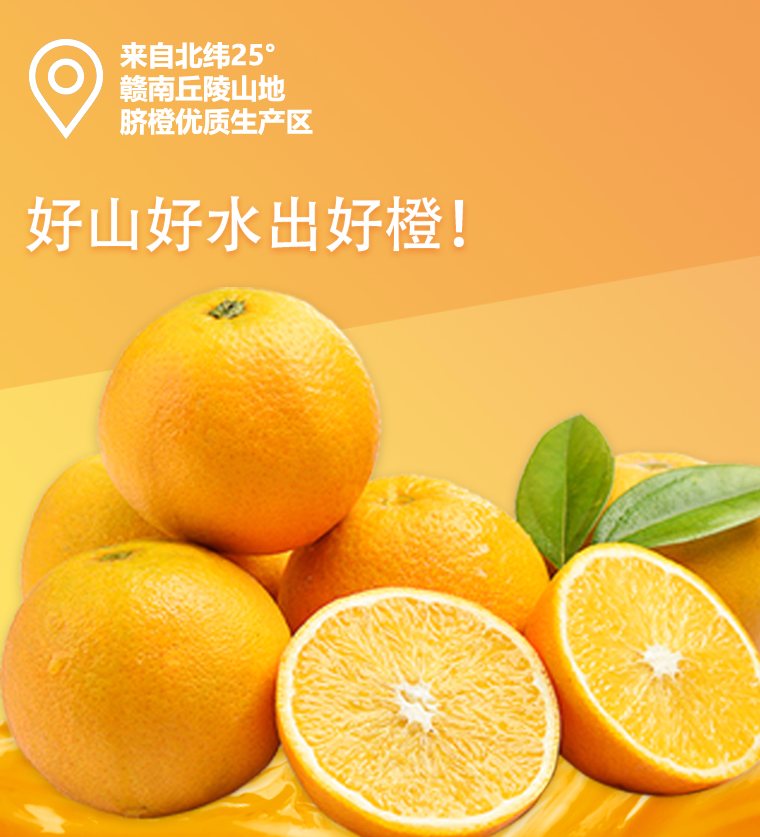 YANG’S  杨氏 精选赣南脐橙 4.5斤起24.9元起包邮（需领券）