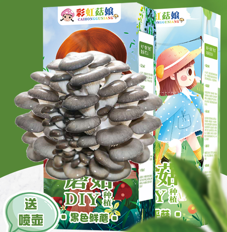 魔菇精灵 DIY蘑菇种植魔盒2盒新低6.9元起包邮（需领券）