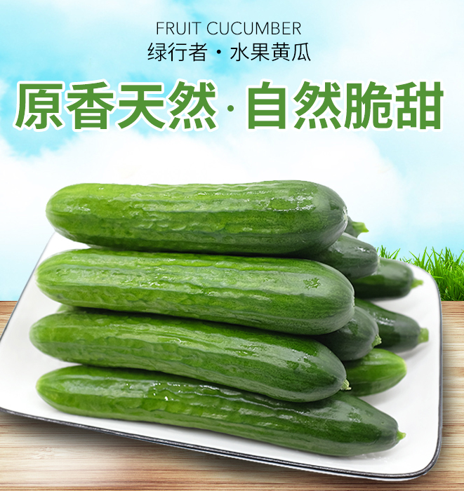 北京奥运会食材供应商，绿行者 荷兰水果黄瓜 5斤新低19.9元包邮（需领券）