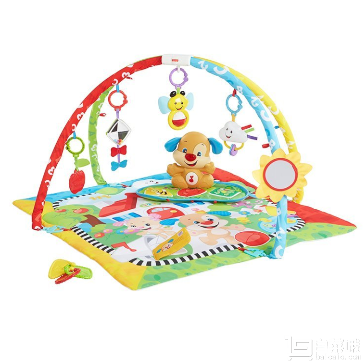 亚马逊中国：Fisher Price 费雪 FFX82 皮皮欢乐学习健身器秒杀价￥99包邮