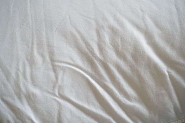 206457619_1588597898690_width600.jpg