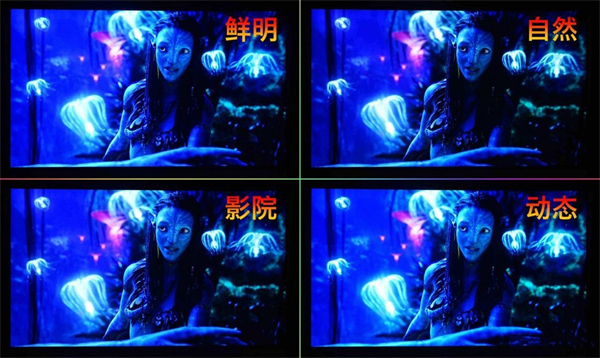 632f12ab9adf67718.jpg_e1080.jpg