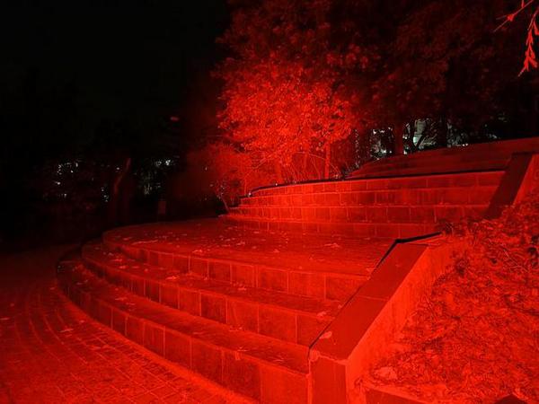 下载 (48).jpg