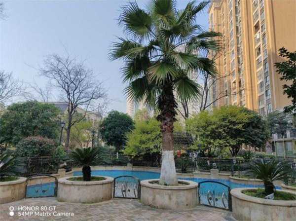QQ截图20221227211000.jpg