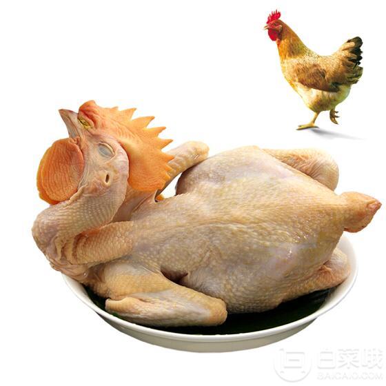 限地区，温氏 供香港农养鸡 800g彩袋装凑单低至17.9元/只
