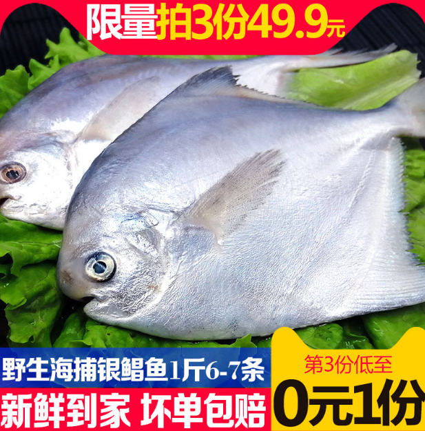日照特产，星渔 舟山新鲜海捕鲜冻银鲳鱼 3斤39.9元包邮（双重优惠）