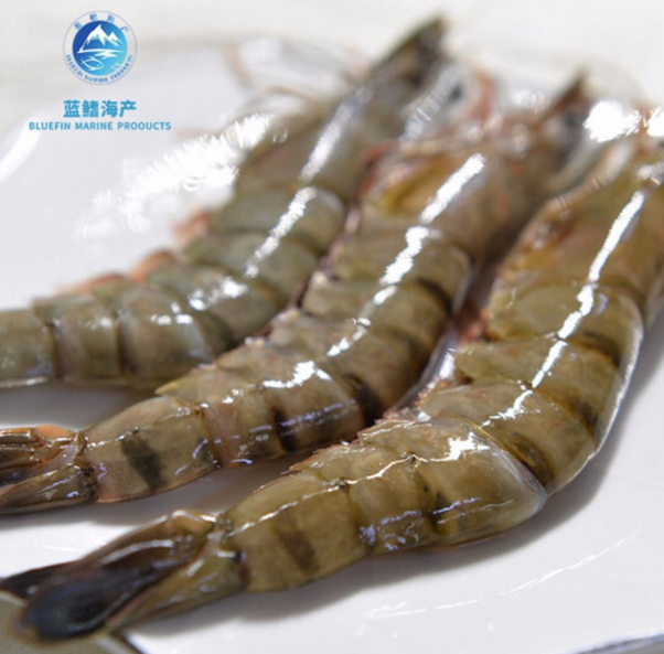 蓝鳍海产 活冻大黑虎虾（大号） 850g（ 24-26头）115元包邮（合57.5元/件）