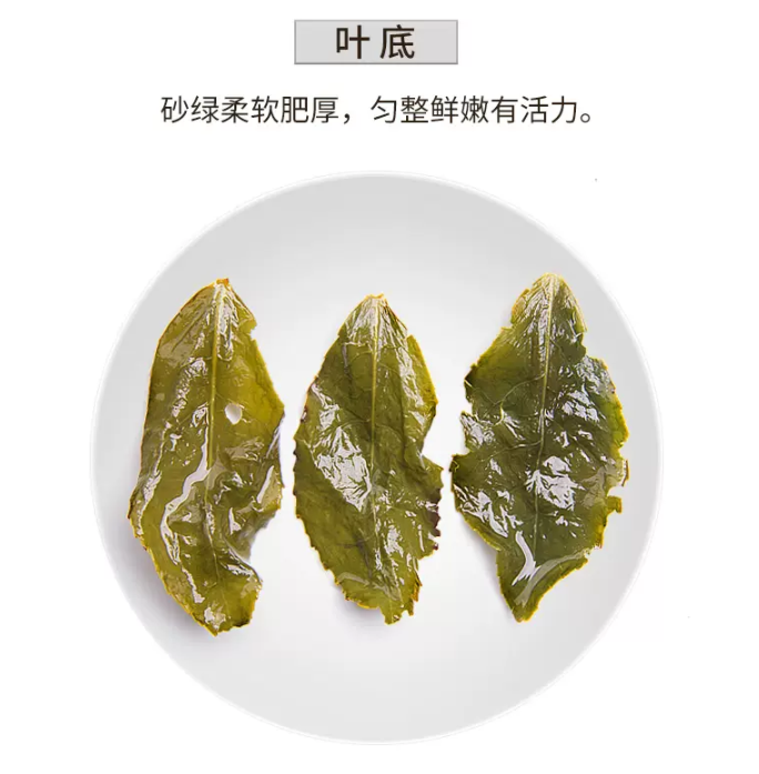 中闽一品 安溪铁观音茶叶 礼盒罐装 500g48元包邮（需用券）