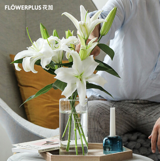 FlowerPlus 花加 简花单品鲜花28.9元包邮（需领券）
