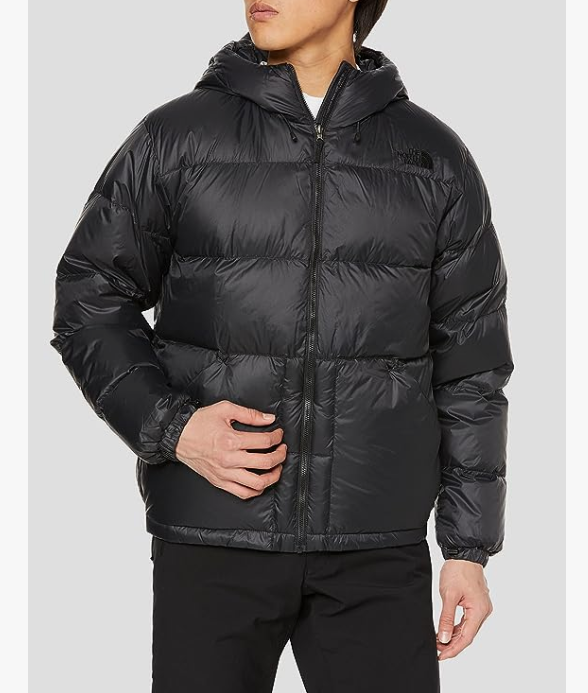 The North Face 北面 男士可拆卸内里GTX防水羽绒服NP62131新低2246.36元