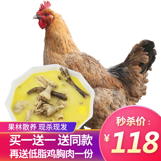 农谣 2年果林散养 老母鸡 杀前约3斤*2只 送鸡胸肉+炖汤料118元包邮