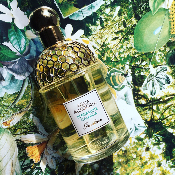aqua allegoria nerolia bianca 娇兰 花草水语系列 淡香水(佛手柑)