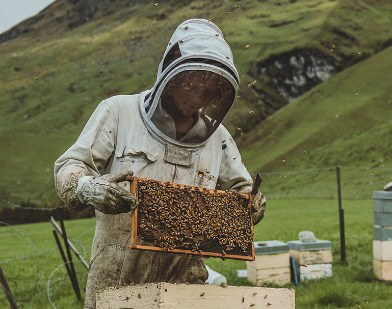New Zealand Honey Co.  新西兰进口 纯天然活性UMF10+麦芦卡蜂蜜 250g*3罐新低185.2元包邮包税（多重优惠）