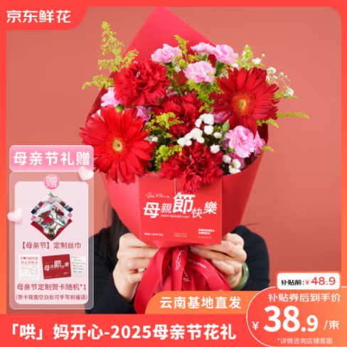 母亲节礼物，花点时间 2025年母亲节主题鲜花花束 赠定制丝巾+贺卡38.9元包邮（5月9~11日收花）