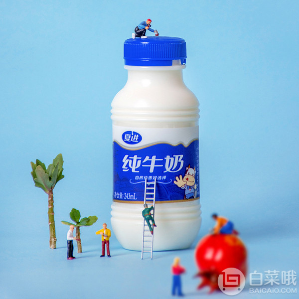 国家重点龙头乳业，夏进 全脂纯牛奶 243ml*24瓶68.6元包邮（双重优惠）