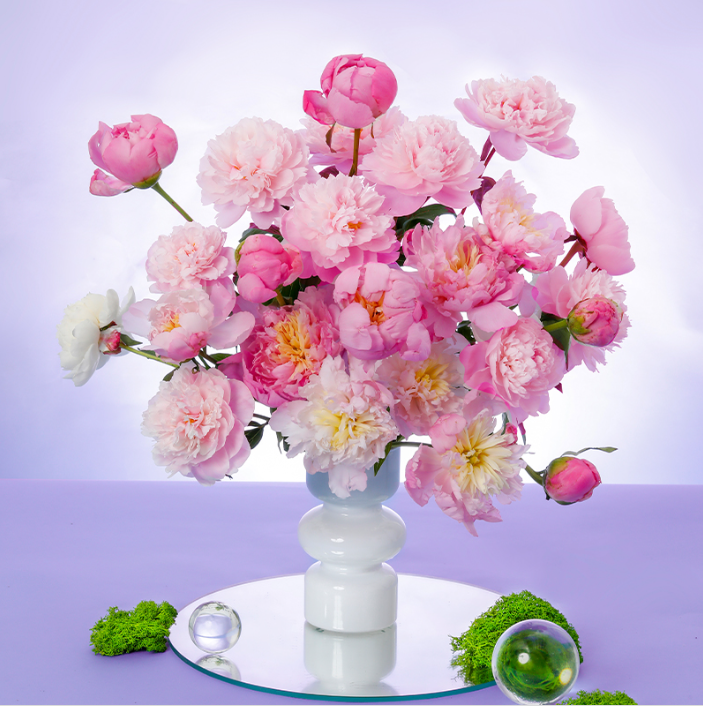 REFLOWER 花點時間 重瓣芍藥鮮切花花束8支 送保鮮劑27.9元順豐/京東包郵（雙重優(yōu)惠）