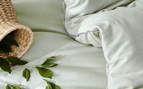 抑菌助眠 LOVE FEEL拉芙菲爾茶茶抗菌春秋被上架