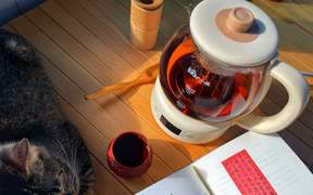 Bear小熊煮茶器ZCQ-A10W5使用評(píng)測(cè)