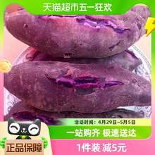   		鲁香德 紫薯3斤新鲜板栗蜜薯营养糖心山芋5斤红薯番薯地瓜烟薯香薯蔬菜 12.26元 		