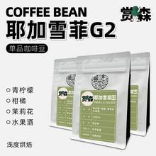   		赏森 新产季埃塞俄比亚耶加雪菲G2精品手冲单品咖啡豆新鲜烘焙磨粉 券后16.8元 		