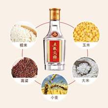   		88VIP会员：WULIANGYE 五粮液 五粮头曲 45%vol 浓香型白酒 100ml 单瓶装 18.9元 		