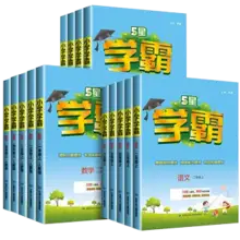   		《2025新版小学学霸》（年级/科目/版本任选） 
券后16.86元包邮 		