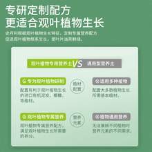   		88VIP会员：史丹利 散尾葵专用土 营养土 巧克力色 深卡其布色 军绿色 天蓝色 桔色 浅灰色 浅绿色 浅黄色 
37.81元 		