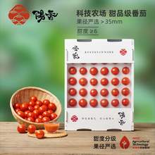   		阳香 高端小番茄 2000g 甜度≥6 136.8元 		