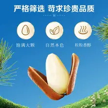   		百补 百草味东北松子大颗粒500g/袋 券后33.8元 		