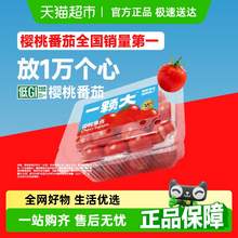   		88VIP會(huì)員：一顆大 櫻桃番茄精品粒裝基地直發(fā)458*2盒 
券后13.21元 		