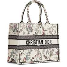   		Dior 迪奧 女士手提包 DIO924N9BEI 31729.05元 		