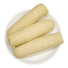   		開袋即食白甜水果玉米2200g10根 
14.3元+60淘金幣（需領(lǐng)券）包郵 		