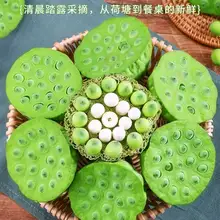   		順豐當(dāng)季嫩水果蓮蓬新鮮生吃即食 9.9元（需領(lǐng)券） 		