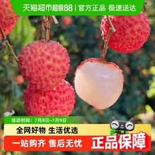   		米樂果 廣東桂味荔枝 新鮮水果當(dāng)季糯米白糖糍純老樹2kg 26.37元 		