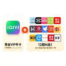   		愛奇藝vip黃金會員年卡+12個月N選1權(quán)益  
155.02元+1898淘金幣 		