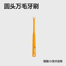   		小壳 Cature 狗狗猫咪刷牙口腔牙齿牙垢清洁用品可食用狗用牙刷牙膏套装 19元 		